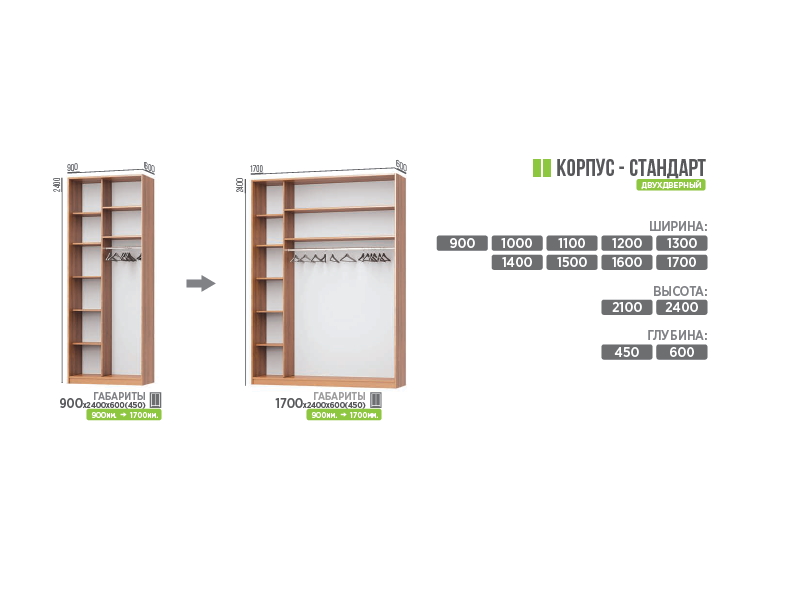 Прайс-460 Шкаф-купе 2-х дверный В2400 Г450